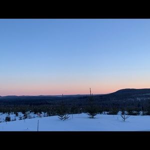 Meet your Posher, Cam